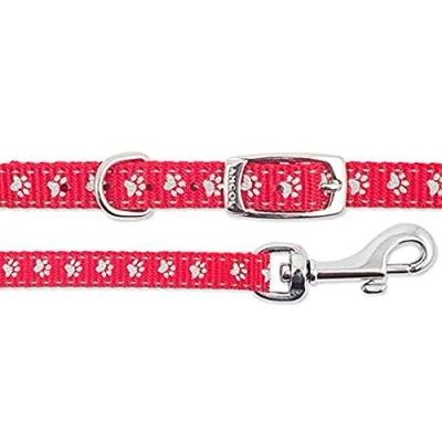 Image of Ancol Small Bite Reflective Collar and Lead Set Blue Red