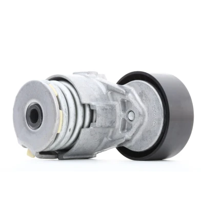 Image of 1175000Q0B, 1175000Q0D, 1175000Q1D, 1175000Q1G, 1175000Q1H Tensioner Pulley SKF VKM 36055 RENAULT: Clio 3, MEGANE 3 Grandtour, 4