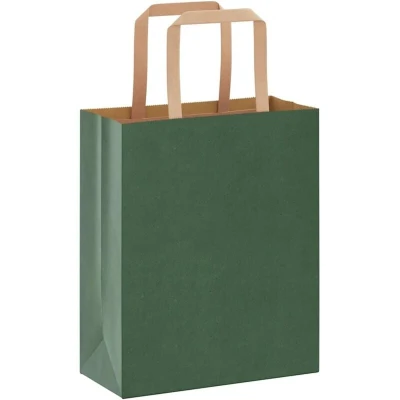 Image of vidaxl Kraft Paper Bags Green 50 Pcs Recyclable Gift/Shopping/Tote/Party with Sturdy Handles 18x8x22 cm, Holds 6 kg