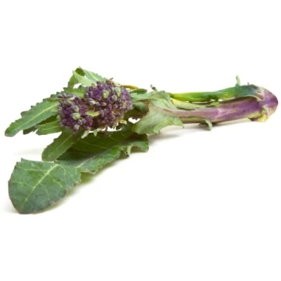 Image of Purple Sprouting Broccoli 4 kg /+10%