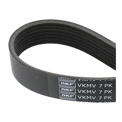 Image of 4405280, 4418675, 9121113, 93195485 V ribbed belt SKF VKMV 7PK1792 1792mm 7 NISSAN: Primera Hatchback, RENAULT: Duster