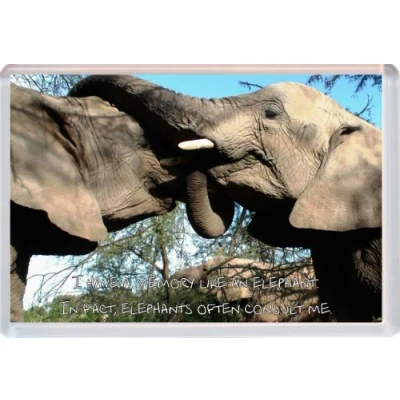 Image of Elephant Cute Elephants Quote Jumbo Fridge Magnet