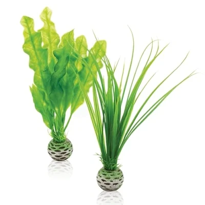 Image of biOrb Plant Set S green