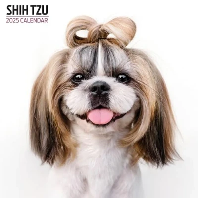 Image of Shih Tzu 2025 Modern Calendar