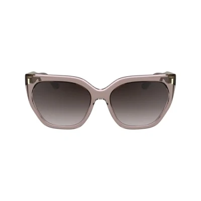Image of Sunglasses Calvin klein Ck24533s col. 272 Donna Squadrata Nude