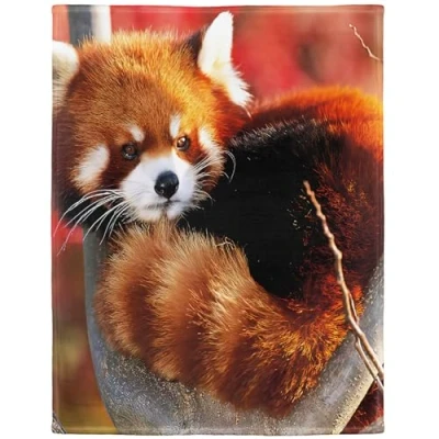 Image of YISUMEI Cuddly Blanket 125 x 150 cm Flannel Soft Fleece Bed Throw Funny Cute Panda Red