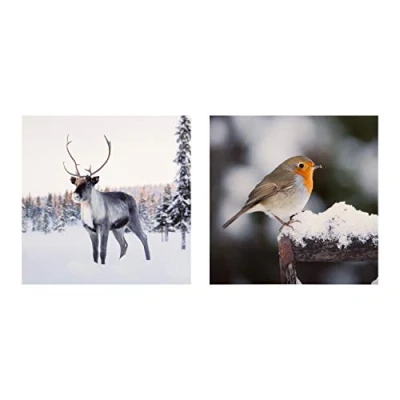 Image of Photographic Winter Nature Christmas Cards from Hallmark Pack of 16 in 2 Designs