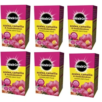 Image of 6 x Azalea Plant Food 1KG