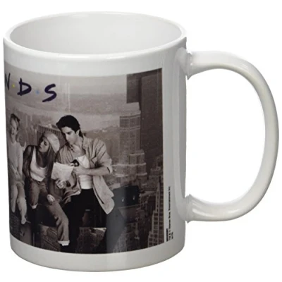Image of Friends MG22397 1 Piece Ceramic Lunch On A Skyscraper Mug,White