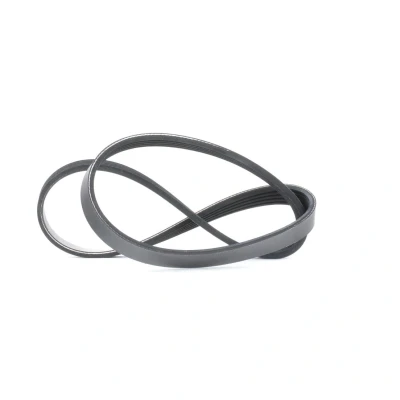 Image of 11281703943, 11281726690, 1703943, 1726690 V ribbed belt MEYLE 050 005 0890 BMW: 7, 3 Coupe, Saloon, FORD: Focus 2, KUGA 1, FIESTA 4