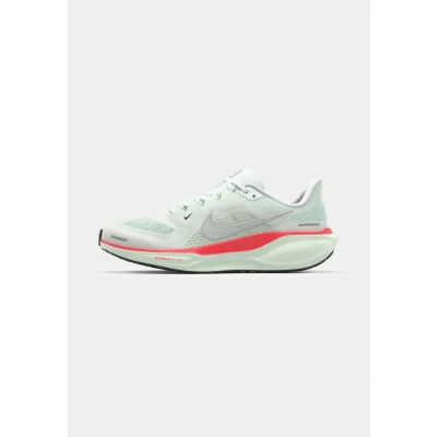 Image of Nike Pegasus 41
