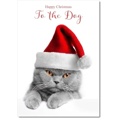 Image of doodlecards To The Dog Christmas Card Grey Cat with Santa Hat Medium Size for Plain Envelope
