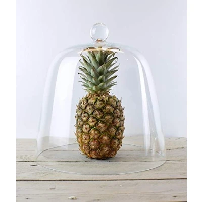 Image of EMH Handmade Clear Circular Cake Glass Dome Display Cloche Bell Jar 31 cm