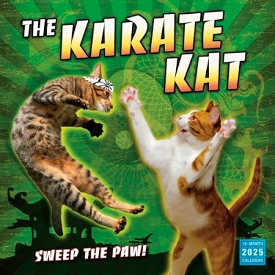 Image of The Karate Kat 2025 Wall Calendar, 16 Month Humor &amp; Comic 12&quot; x