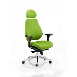 Image of Chiro Plus Ultimate with Headrest Bespoke Colour Myrrh Green