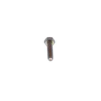 Image of Potterton Hexagon Screw M6 X 25mm 26009031