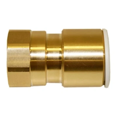Image of Brass Coupler 22mm x 3/4&#039; Female John Guest Speedfit