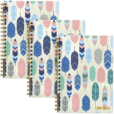Image of Pukka Pad, Carpe Diem 3 Pack B5 Hardcover Notebooks, 7 x 9.8 Inches Each, Feathers