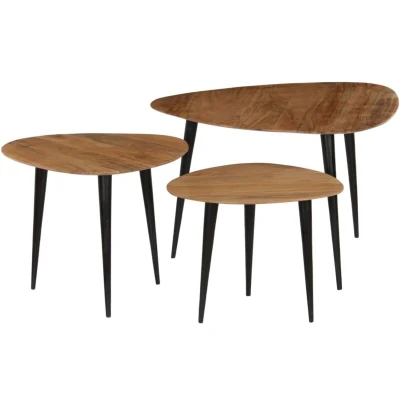Image of vidaXL Coffee Table Set 3 Pieces Solid Acacia Wood