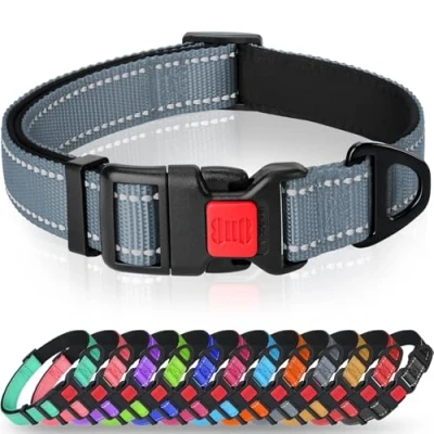 Image of Taglory Reflective Nylon Dog Collar with Safety Buckle, Adjustable Pet Collars Soft Neoprene Padding for Small Dogs, Grey