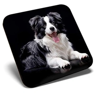 Image of Great Single Coaster Square Black Border Collie Farm Dog Puppy Glossy Quality Coasters Tabletop Protection for Any Table Type #21376