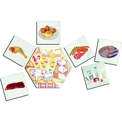 Image of Akros (AKRP1) 20551 Where Does Food Come from Learning Games, Multi Colour