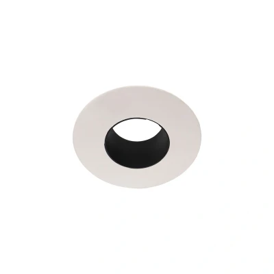 Image of 95mm Pin Hole Accessory for Accentpro Downlights Integral LED