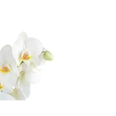 Image of Pack of 9 Large Blank Florist Cards 12.5 x 9cm Flower Sympathy Message Style Choice (White Orchid)