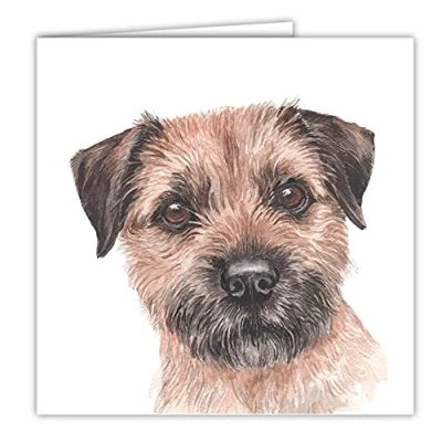 Image of Maturi Blank Greeting Card with Water Colour Border Terrier Dog Image