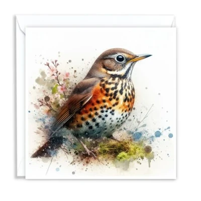 Image of British Thrush Wild Birds Watercolour Splash Effect Artistic Blank Greeting Card