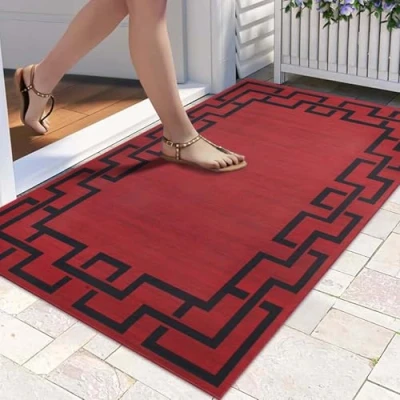 Image of Hafaa Door Mats 80 x 150 cm Non Slip for Kitchen Floor Soft Heavy Duty Doormats Inside Stylish Printed Welcome Front Doormat Dirt Trapper Indoor Outdoor Mat (Lexi)