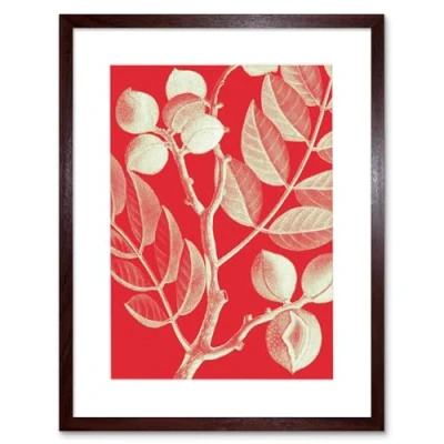 Image of Wee Blue Coo Modern Bold Biodiversity Red Plant Artwork Framed Wall Art Print 12X16 Inch