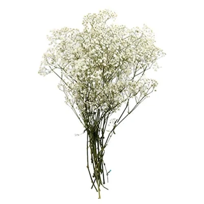 Image of BESPORTBLE Dried Flower Gypsophila Bouquet Decor Artificial Flowers Preserved Dry Bunch Arrangements Decorative Home Office Wedding Store (White)