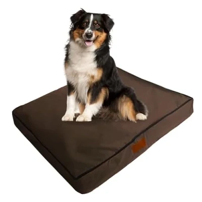 Image of Ellie Bo XL Memory Foam Dog Bed for 42 inch Cage/Crate Brown Waterproof