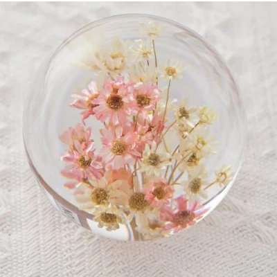 Image of Zhyx Daisy Crystal Wishing Ball Unique Paperweight is a perfect gift for family, friends, couples and children (7 cm) diameter