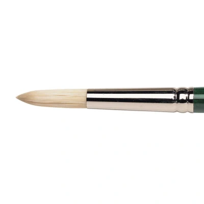 Image of Winsor &amp; Newton Size 12 Winton Hog Round Brush