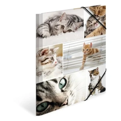 Image of HERMA Elastic Folder Animals with Cats Motif, A4, Sturdy Cardboard, Inner Print, 1 Span