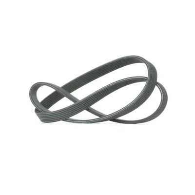 Image of 6x1215 V ribbed belt DAYCO 6DPK1215 1215,0mm 6 VOLKSWAGEN: Caddy 3, Transporter 5, 5 Bus