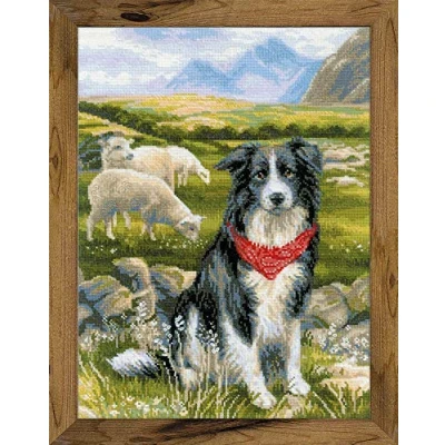 Image of RIOLIS Cross Stitch Kit 1767 Border Collie