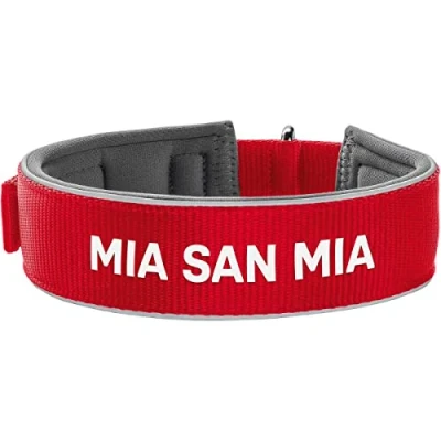 Image of Hunter Neoprene Reflect FC Bayern Munich Dog Collar, M L (55), Red/Grey