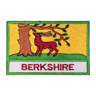 Image of Berkshire County Flag Logo Embroidered Iron on Patch Sew Badge Applique for Clothes