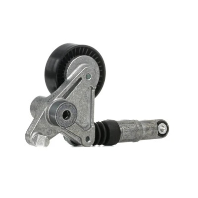 Image of 059145201D, 059145201F, 059145201H Tensioner Pulley SKF VKM 31300 AUDI: A5 B8 Coupe, Q7, A8 D3, VOLKSWAGEN: Touareg II