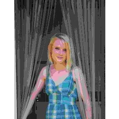 Image of Deluxe Heavy Duty Bug Blind,Fly Blind,Strip Blind, Door Blind FROSTED 90cm WIDE