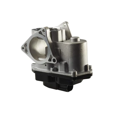 Image of 03G131501, 03G131501P, 03L131501D, 03L131501E, 03L131501G EGR valve HELLA 6NU 010 171 801 Electric with seal AUDI: Q5, A4 B8 Saloon, A3 Sportback