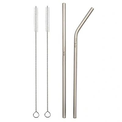 Image of TiTo Titanium Metal Straw Reusable Drinking Straws with Cleaning Brush for Smoothie, Milkshake, Cocktail and Hot Drinks (1 Straight + 1 Bent)