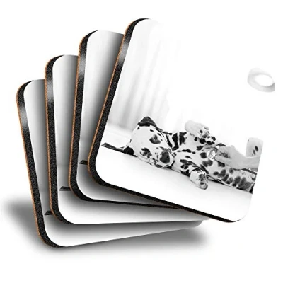 Image of Destination Vinyl ltd Great Coasters (Set of 4) Square BW Cute Dalmatian Puppy Dog Vet Drink Glossy Coasters/Tabletop Protection for Any Table Type #38645