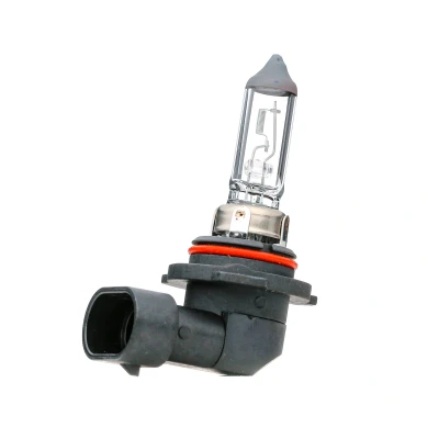 Image of 1J0411315J, N10130001 Light Bulbs BOSCH 1 987 301 063 HB4 12V 51W P22d Halogen VOLKSWAGEN: Polo V Hatchback, Golf 5, Touareg II, BMW: 5 Saloon