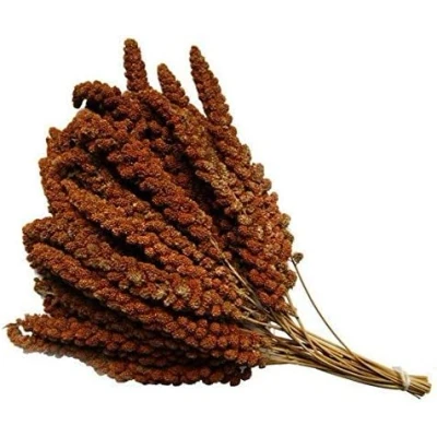 Image of VIONIA® RED MILLET 250G SPRAYS For Birds CAGE and Aviary Food PREMIUM HANGING BIRD TREAT BUDGIE CANARIES COCKATIELS WEIGH OUT BAG