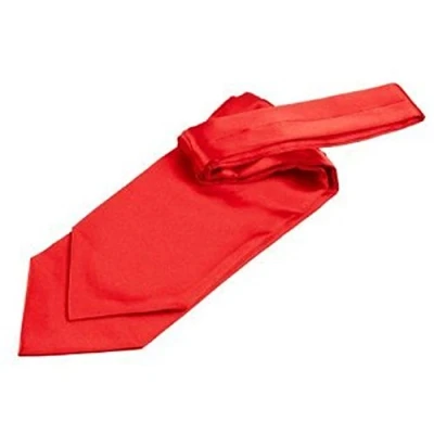 Image of DQT Plain Satin Wedding Self Tie Ascot Cravat for Men Red