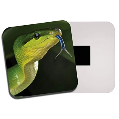 Image of DestinationVinyl 1 x Green Snake Fridge Magnet Reptile Snakes Jungle Tropical #8313